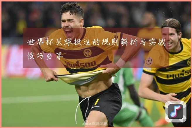世界杯买球投注的规则解析与实战技巧分享