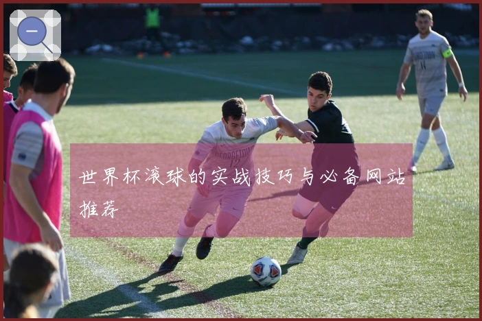 世界杯滚球的实战技巧与必备网站推荐
