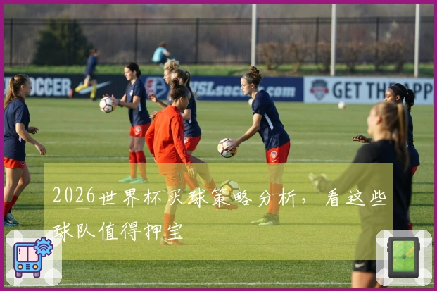 2026世界杯买球策略分析，看这些球队值得押宝