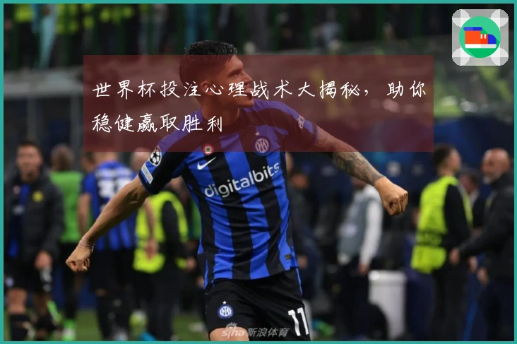 世界杯投注心理战术大揭秘，助你稳健赢取胜利