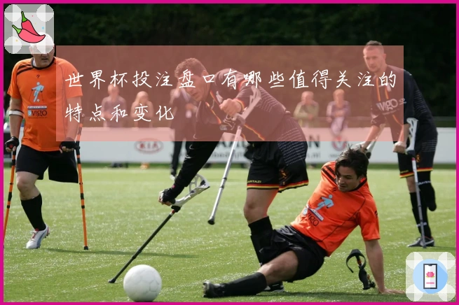 世界杯投注盘口有哪些值得关注的特点和变化