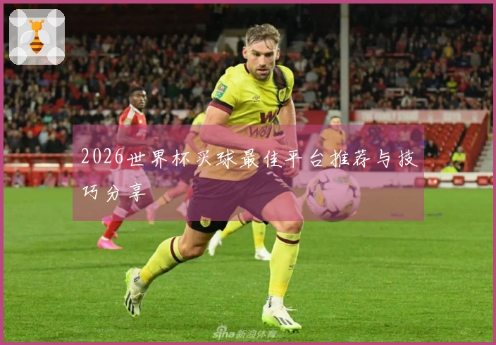 2026世界杯买球最佳平台推荐与技巧分享