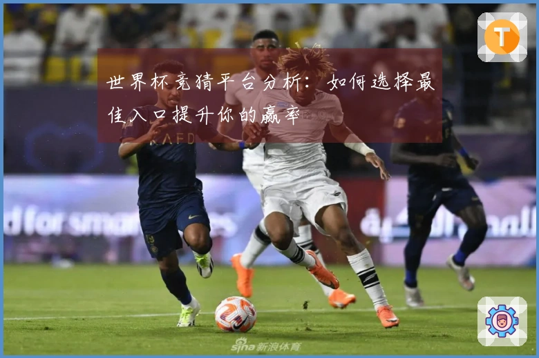 世界杯竞猜平台分析：如何选择最佳入口提升你的赢率
