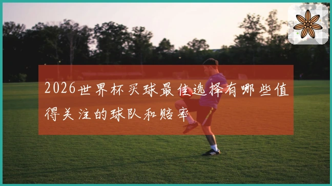 2026世界杯买球最佳选择有哪些值得关注的球队和赔率
