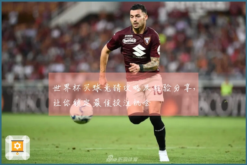世界杯买球竞猜攻略及经验分享，让你锁定最佳投注机会
