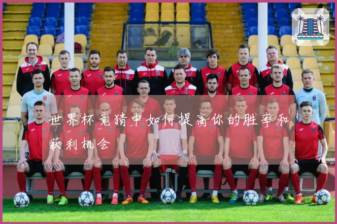 世界杯竞猜中如何提高你的胜率和获利机会