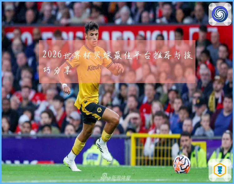 2026世界杯买球最佳平台推荐与技巧分享