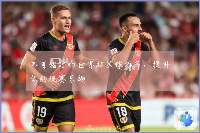 不可错过的世界杯买球推荐，提升你的观赛乐趣