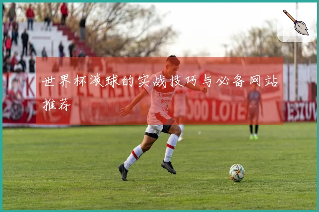 世界杯滚球的实战技巧与必备网站推荐
